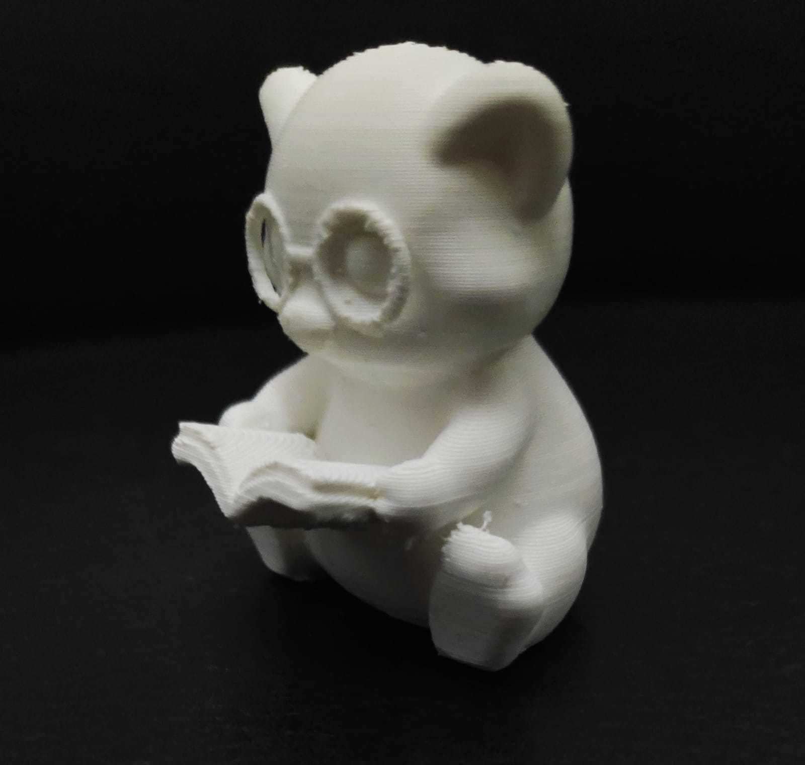 Ferret Book 3D print model_9
