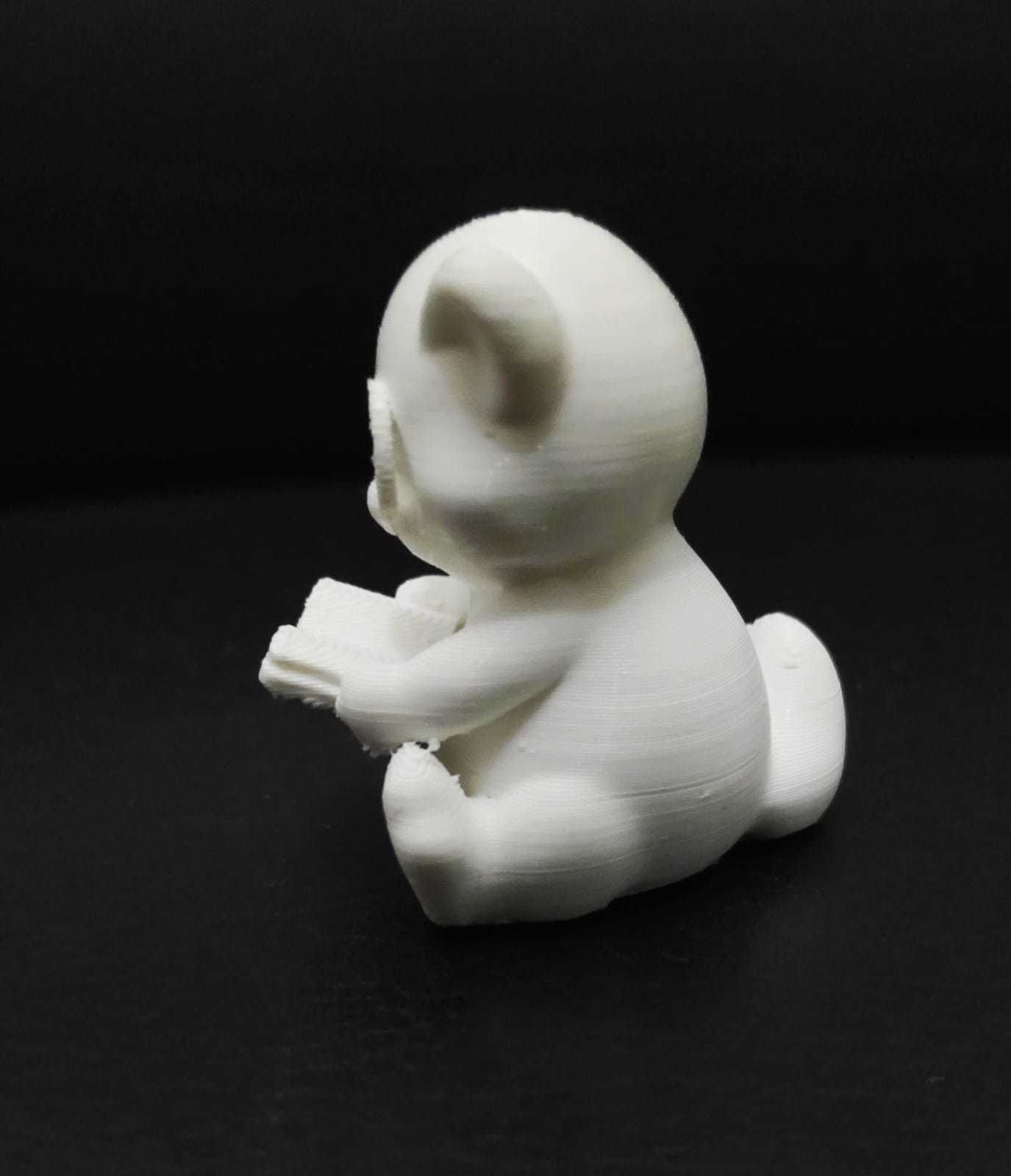 Ferret Book 3D print model_8
