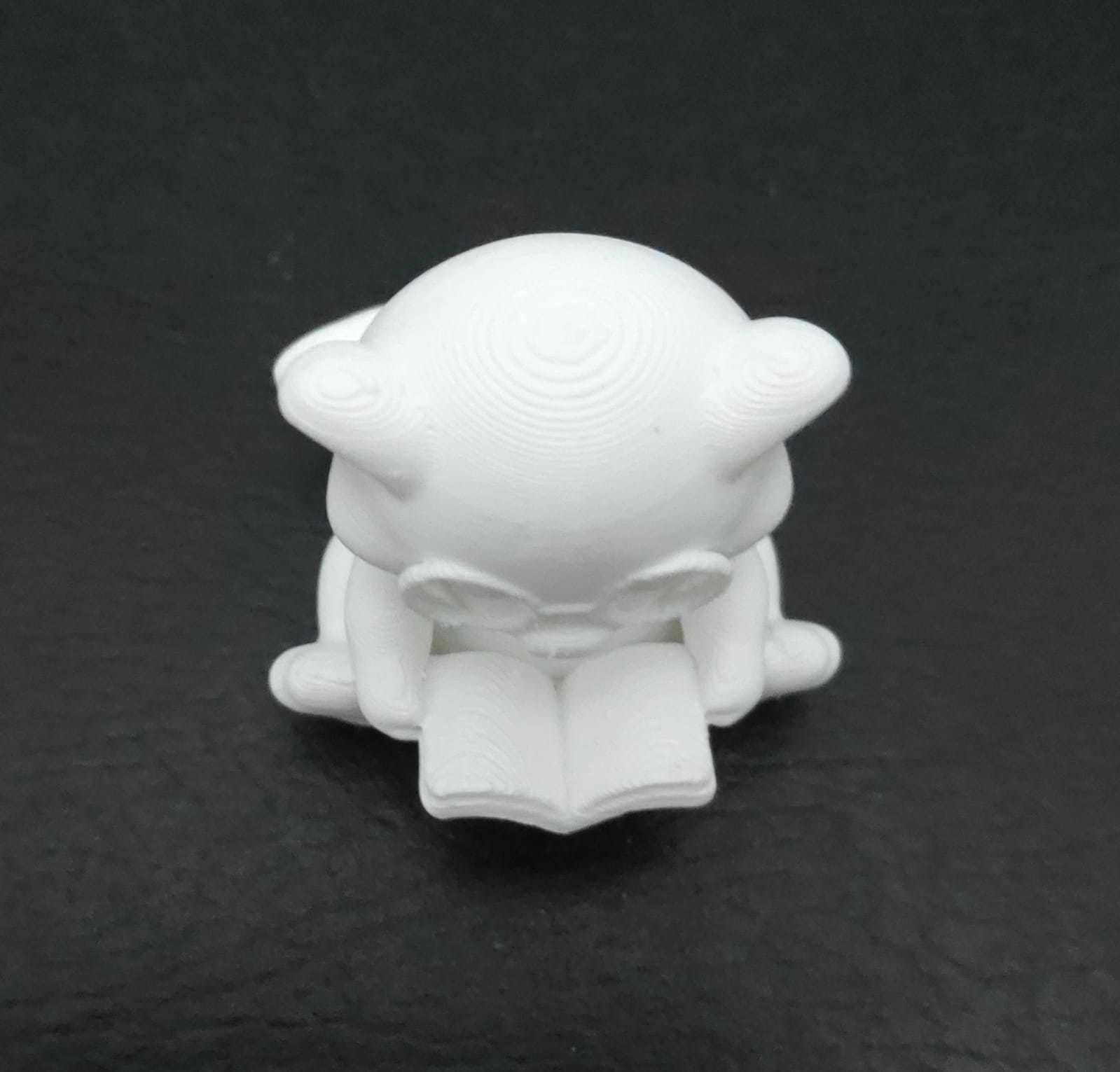 Ferret Book 3D print model_12