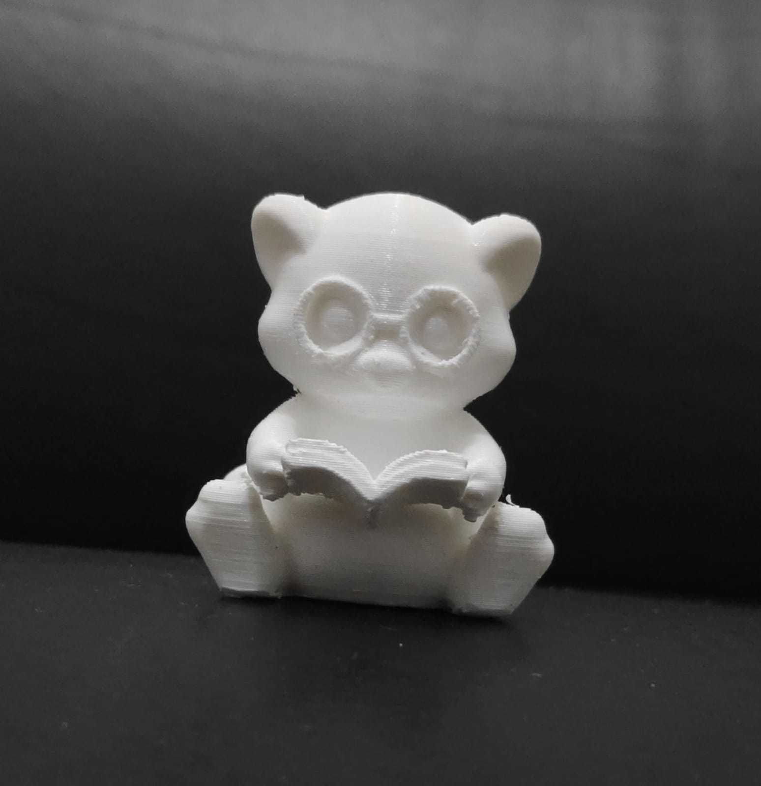 Ferret Book 3D print model_10