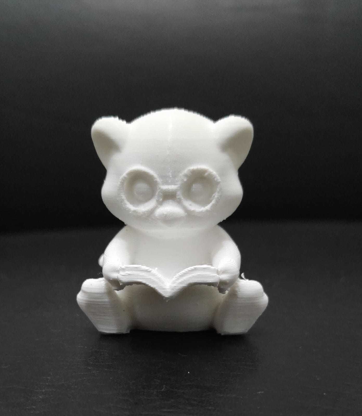 Ferret Book 3D print model_4