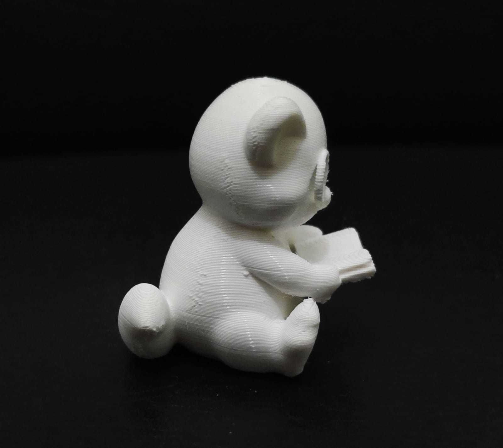 Ferret Book 3D print model_6