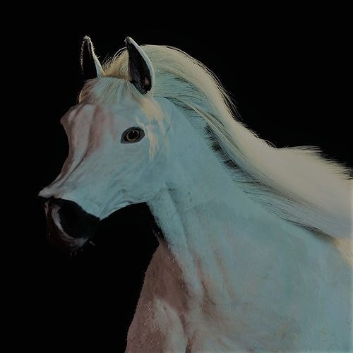 Horse with Mane Game Ready animal model Low-poly 3D model