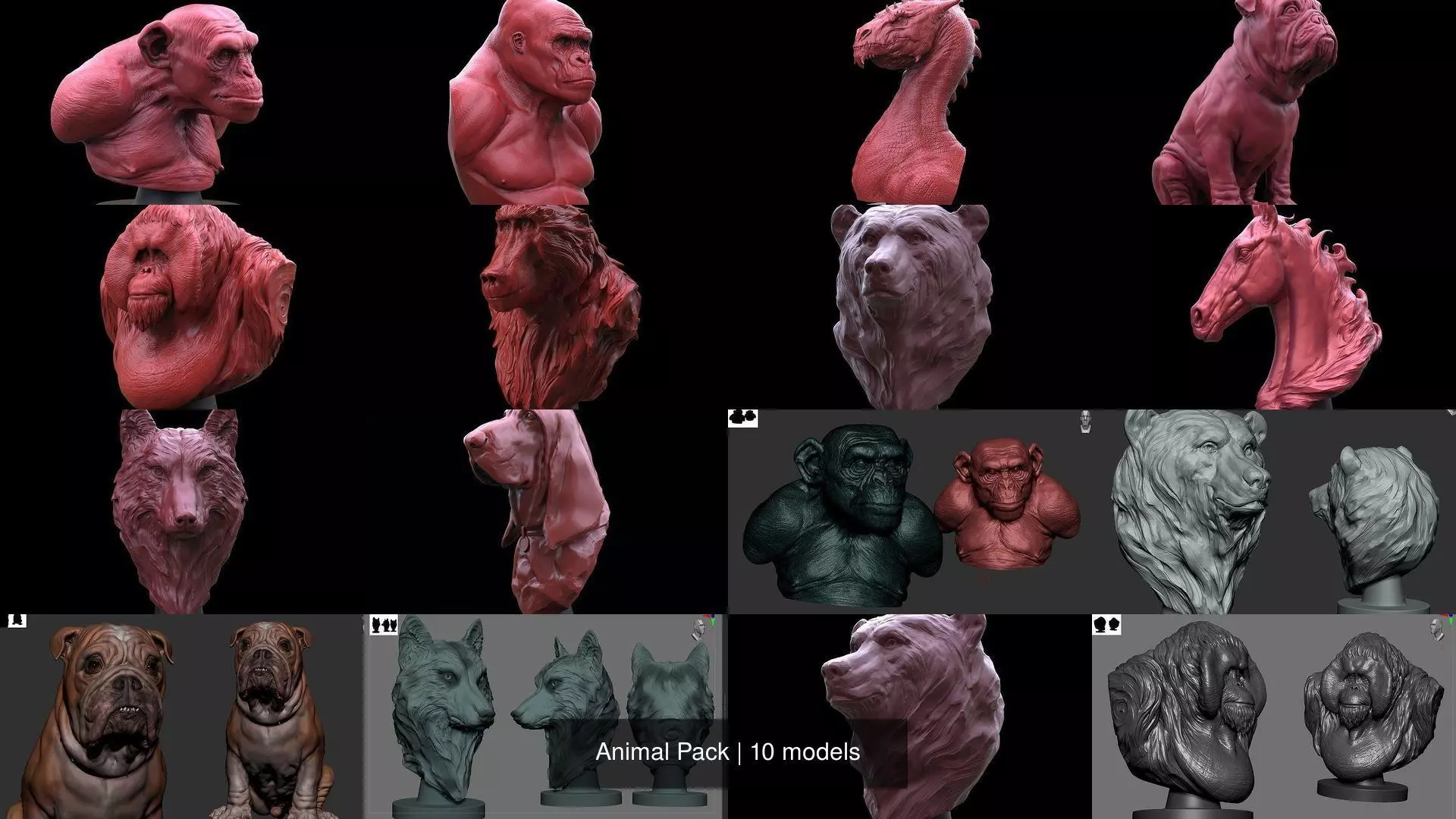 Animal Pack 3D Model Collection_0
