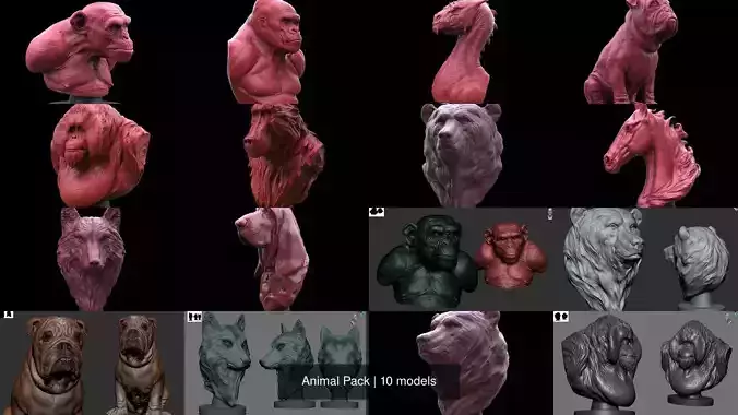 Animal Pack 3D Model Collection