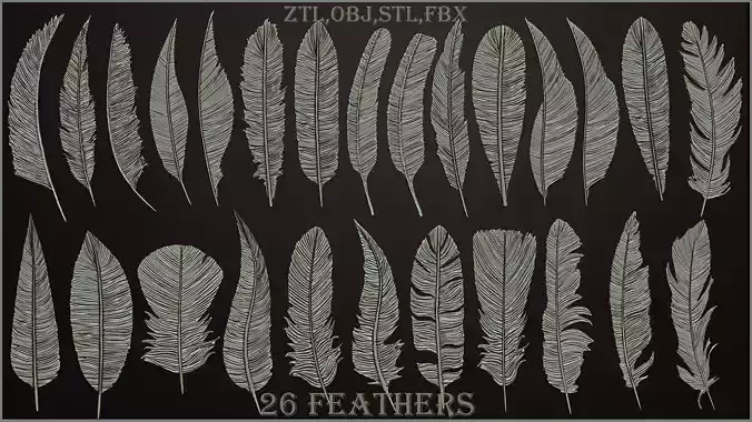 26  Feathers 3D model