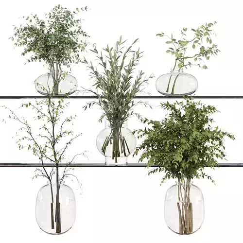 collection Plants Bouquet Indoor glass vase 06