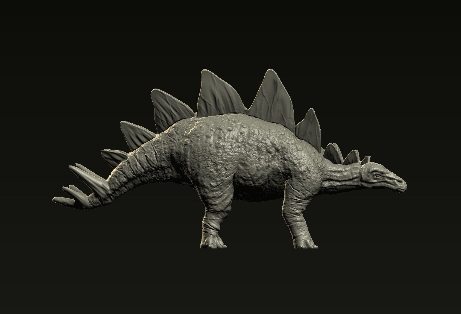 Stegosaurus dinosaur 3D print model_7