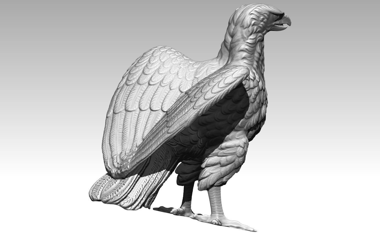 Eagle High detailed  3D print model_2