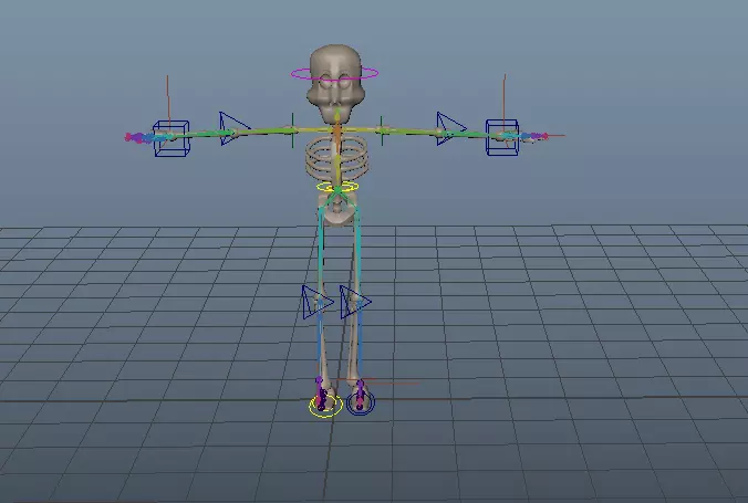 3d skeleton with arms and legs Low-poly 3D model_0