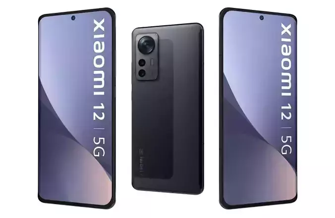 Xiaomi 12 Gray