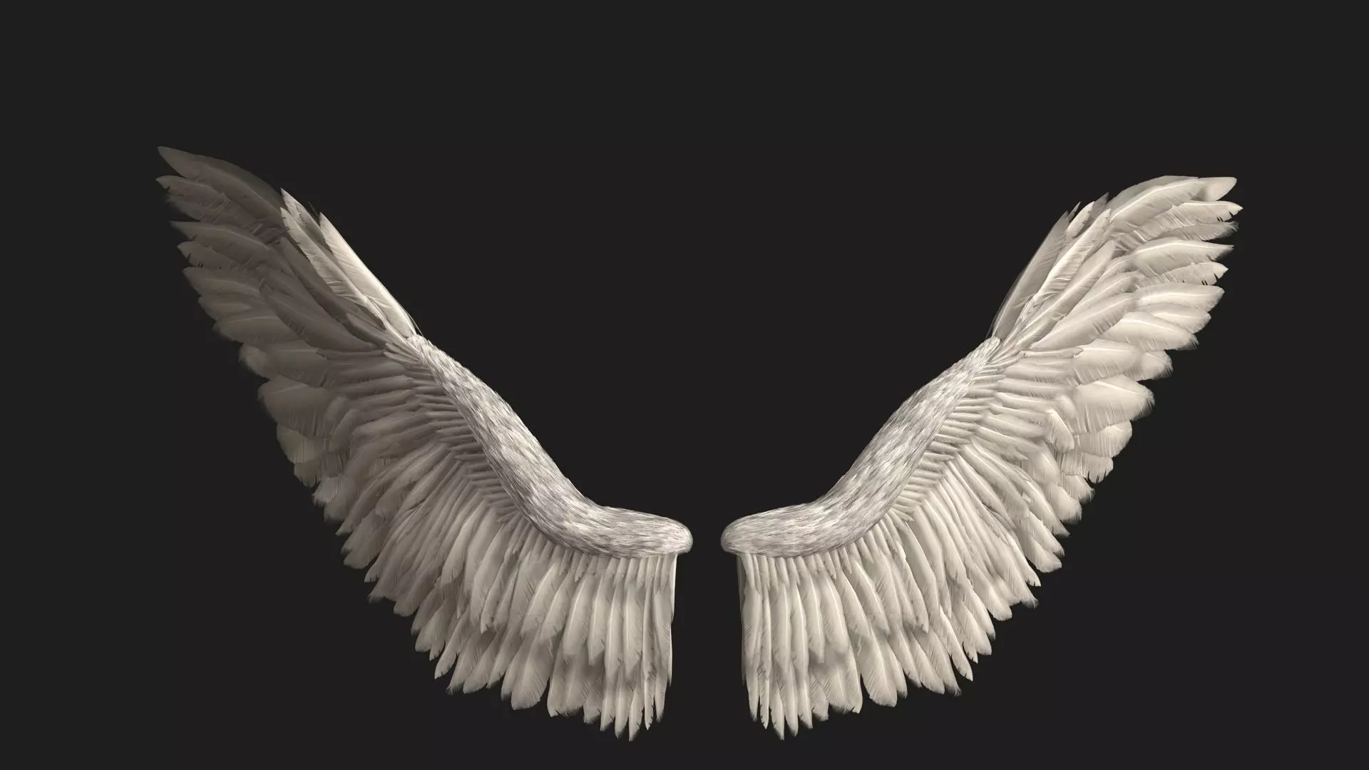 Angel Wings 3D model_0