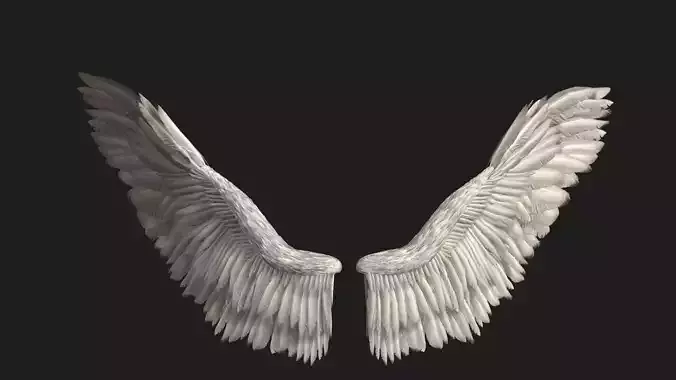 Angel Wings