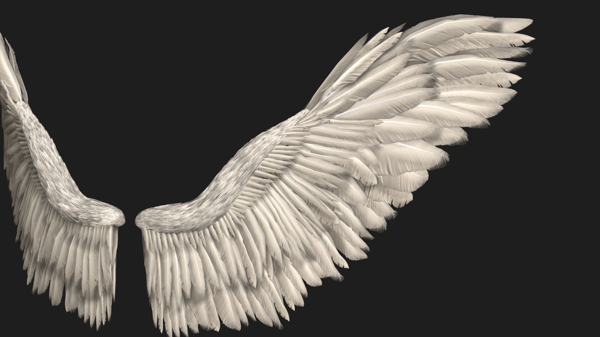 Angel Wings 3D model_2