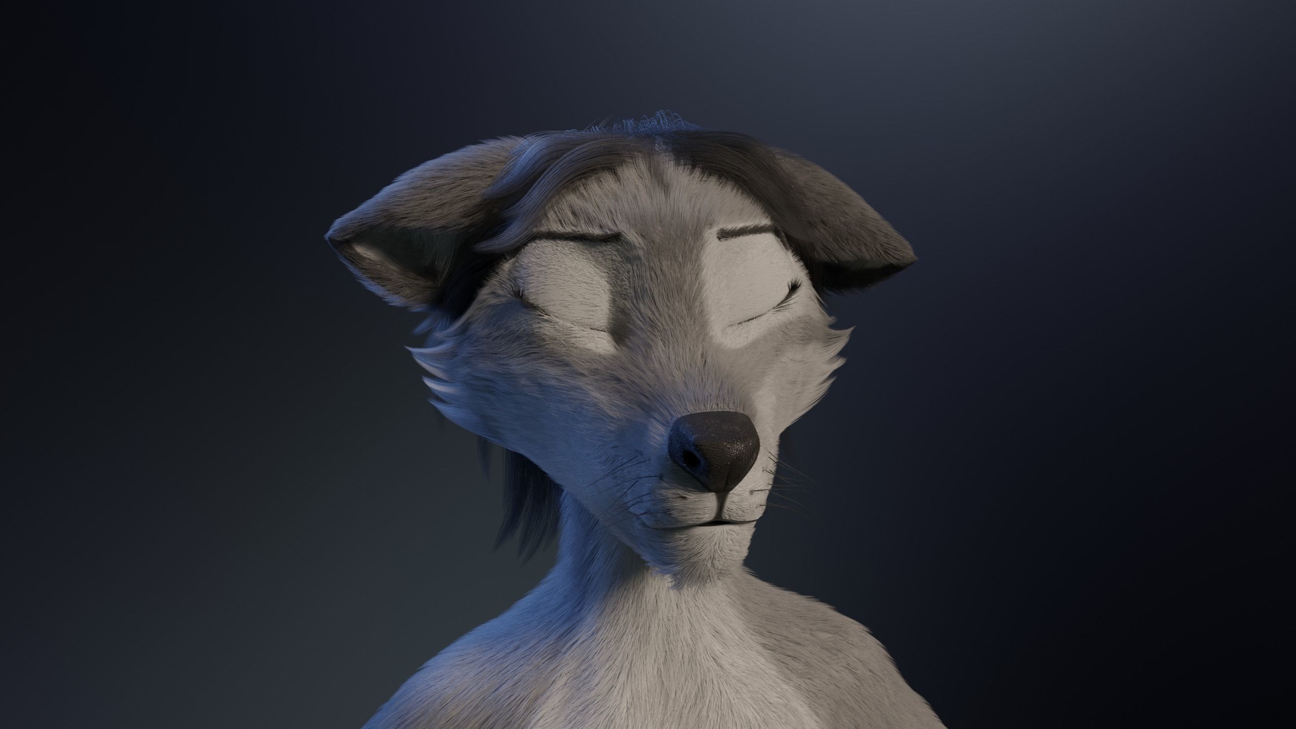 Eva Anthro wolf 3D model_33
