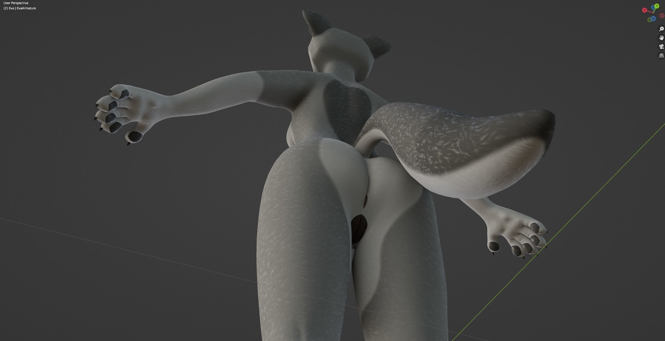 Eva Anthro wolf 3D model_48