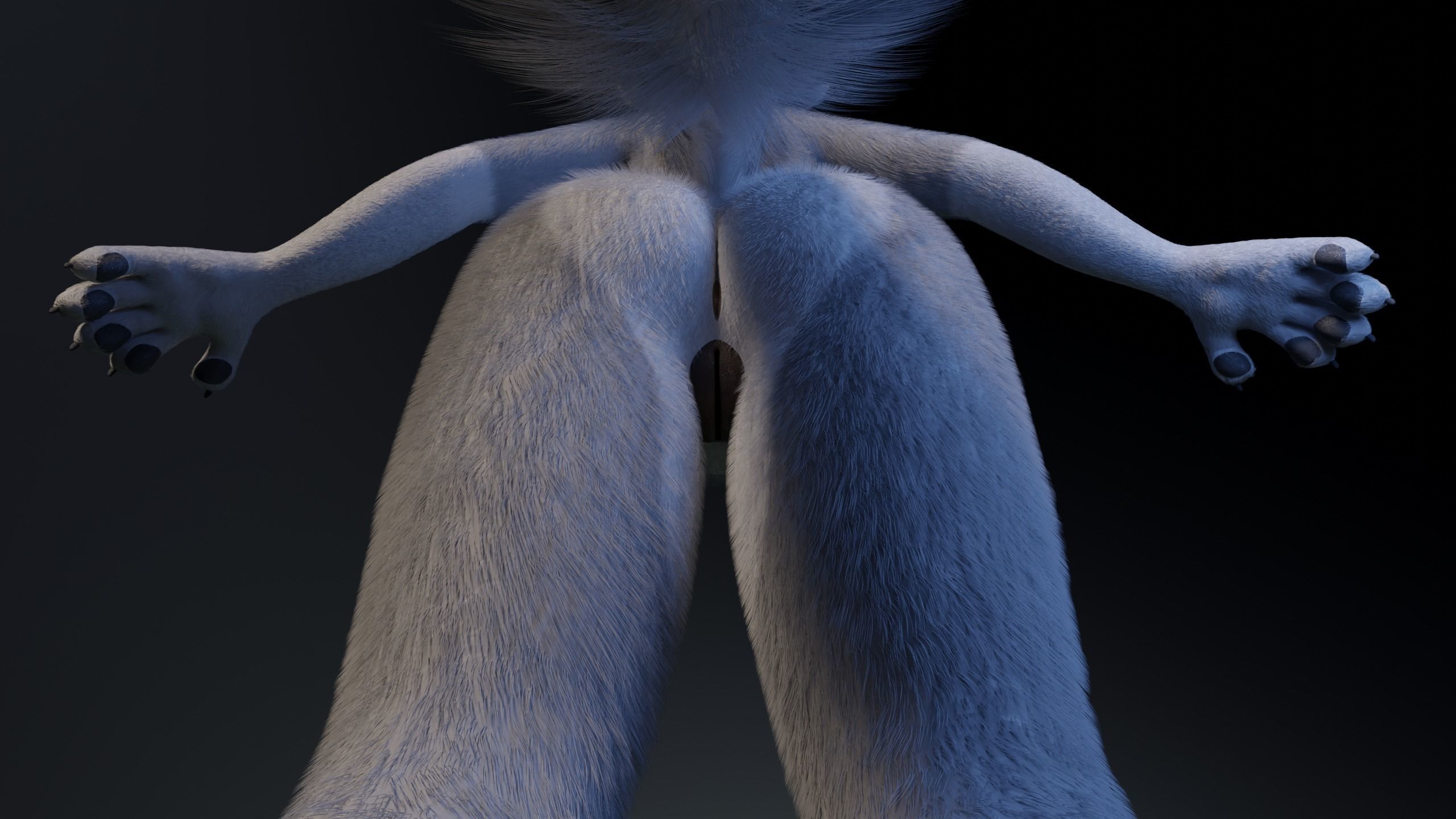 Eva Anthro wolf 3D model_16