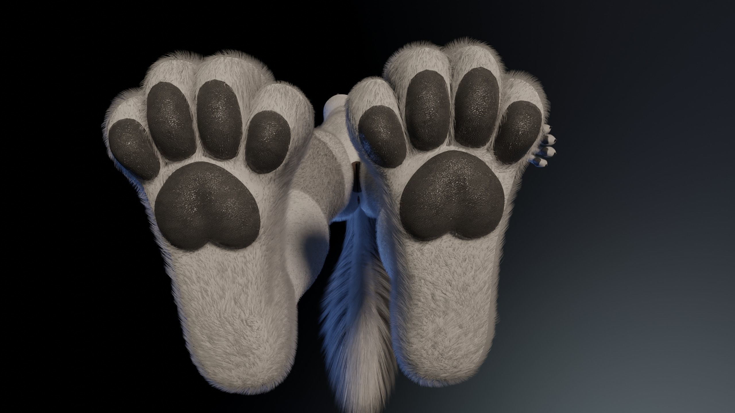 Eva Anthro wolf 3D model_14