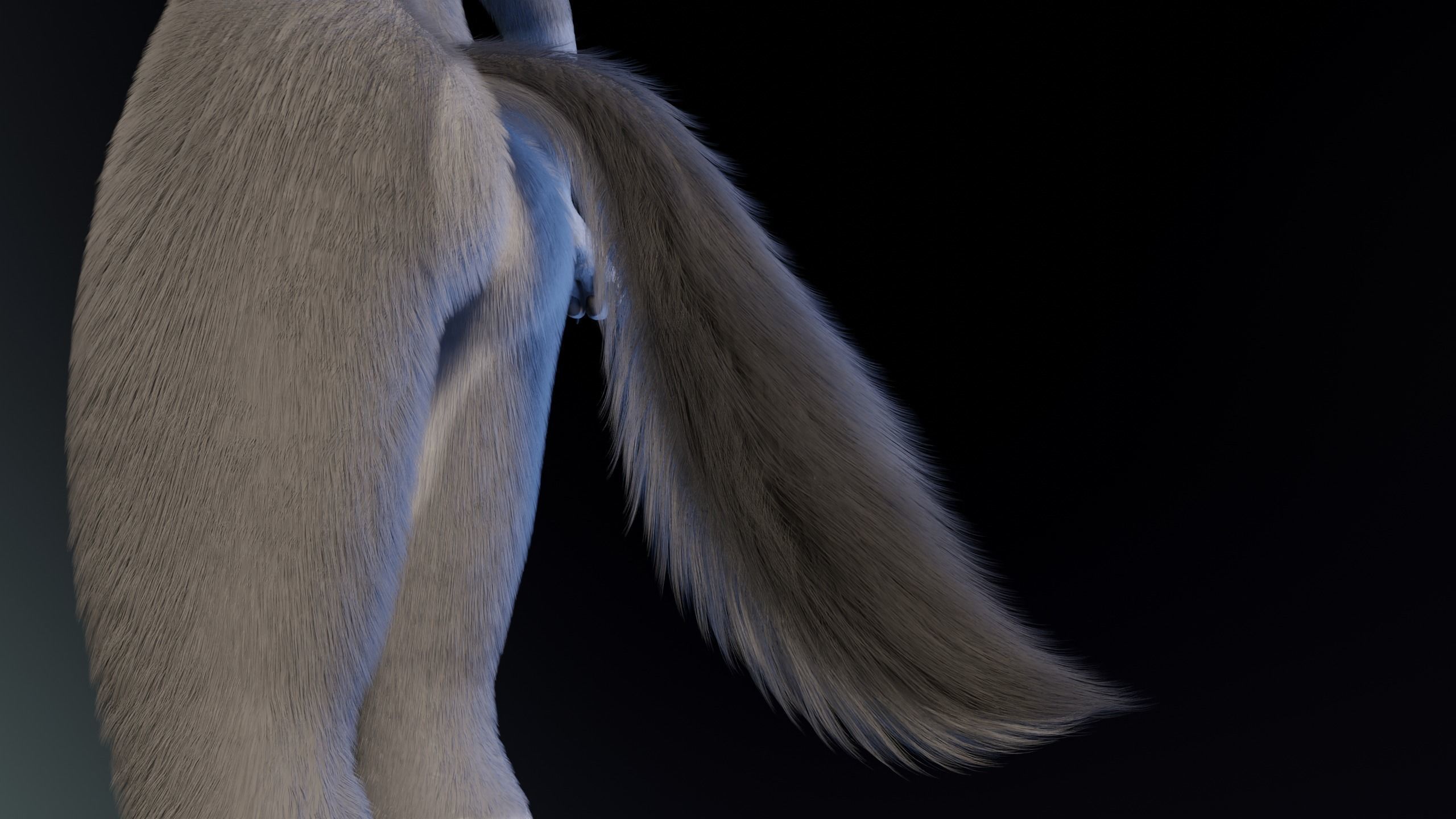 Eva Anthro wolf 3D model_11