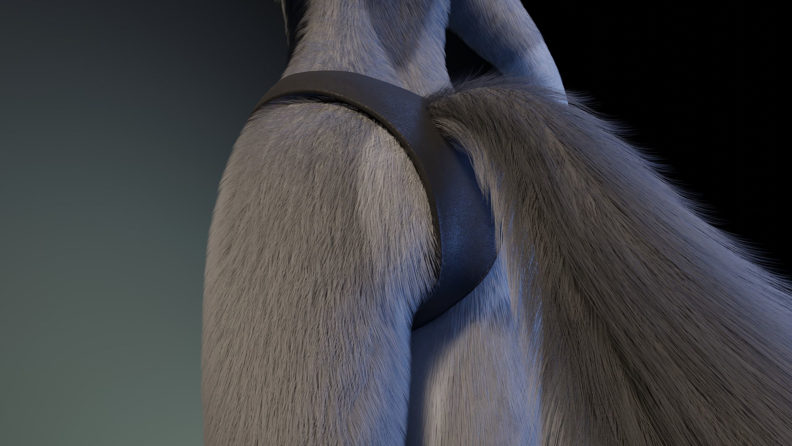 Eva Anthro wolf 3D model_23