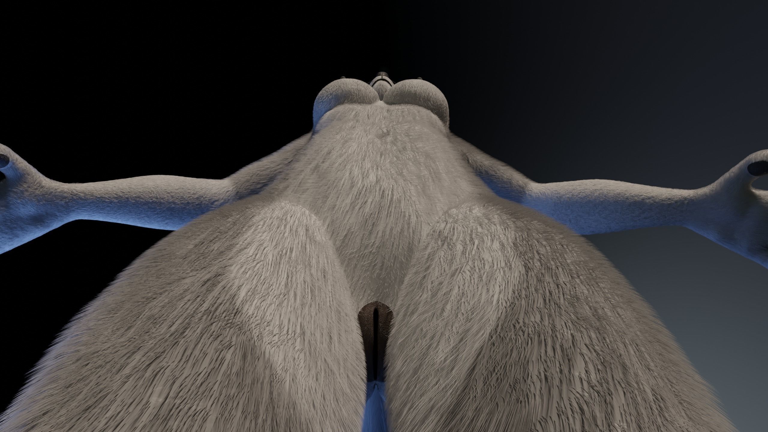 Eva Anthro wolf 3D model_15