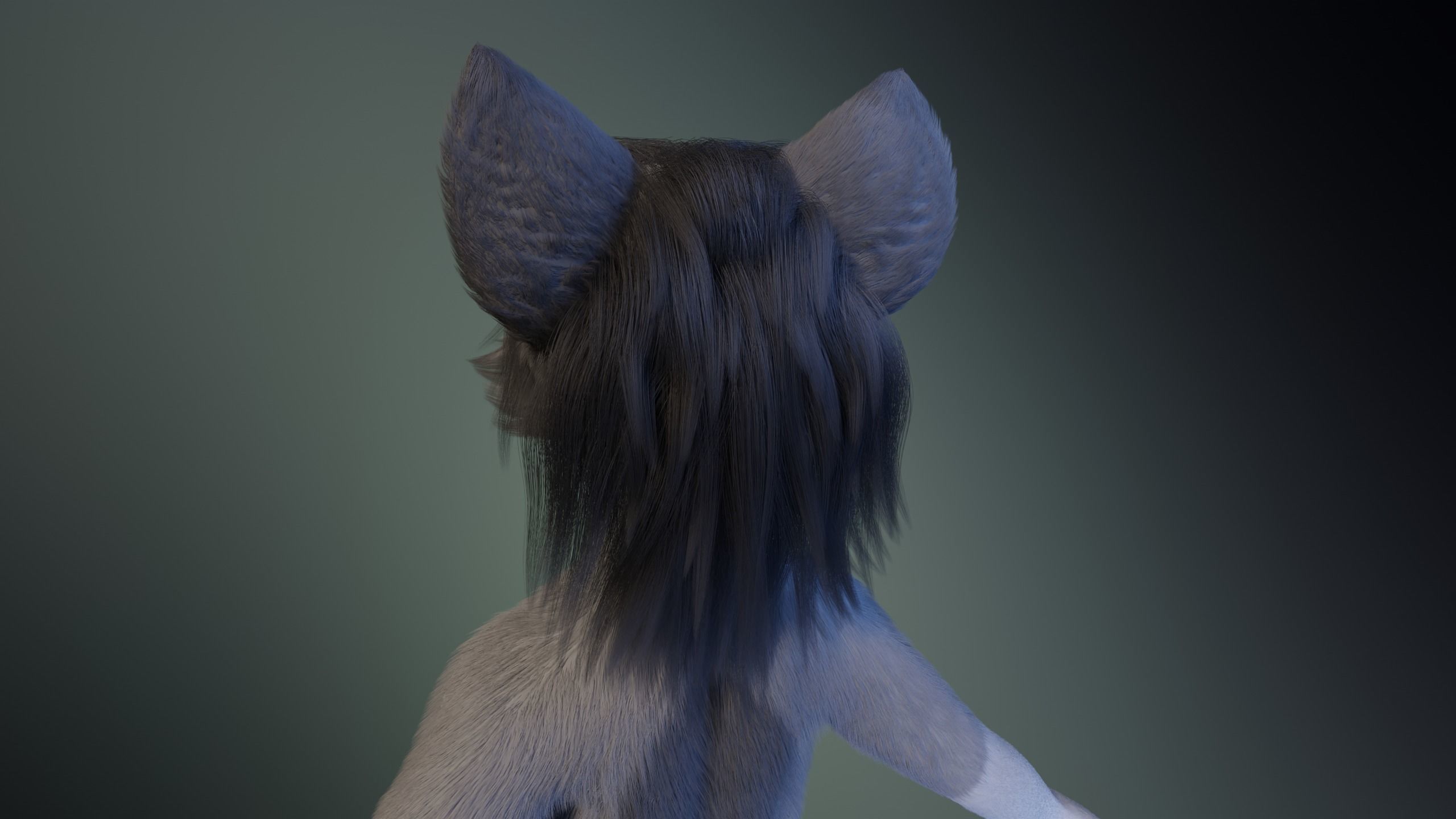 Eva Anthro wolf 3D model_6