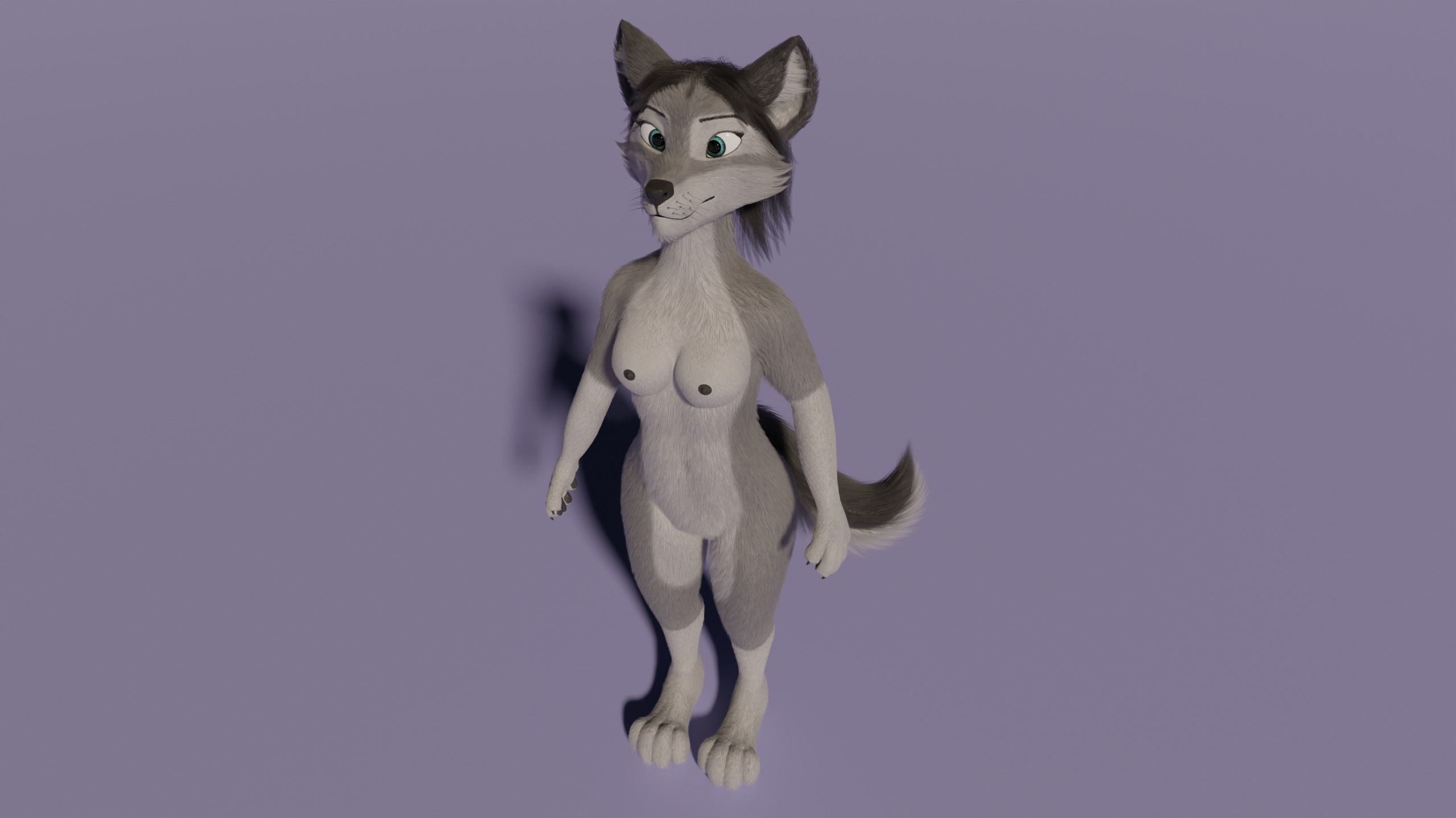 Eva Anthro wolf 3D model_37