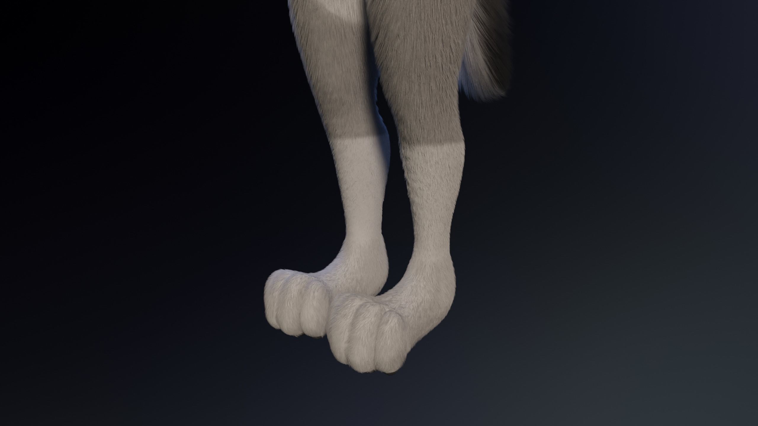 Eva Anthro wolf 3D model_9