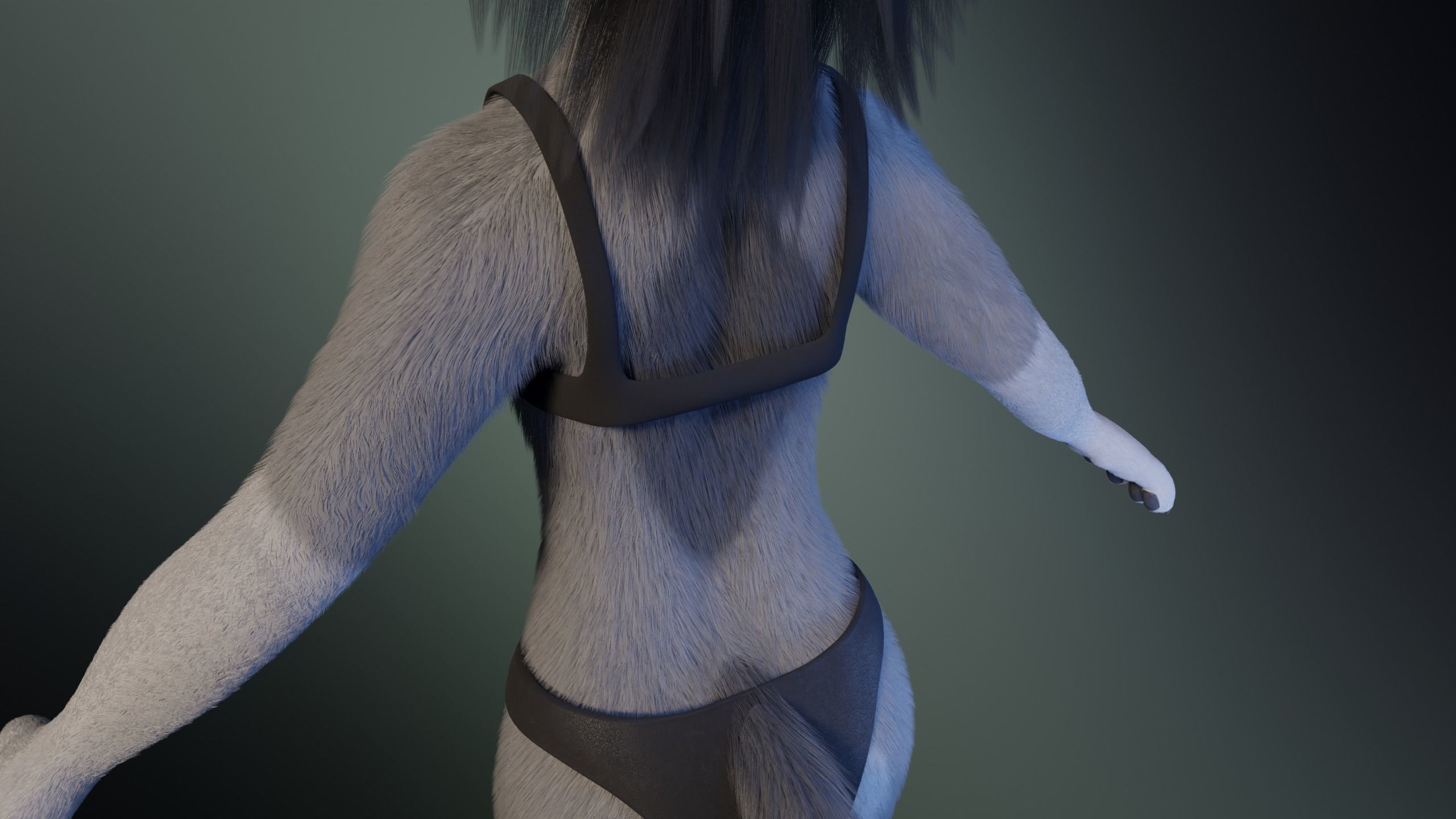 Eva Anthro wolf 3D model_25