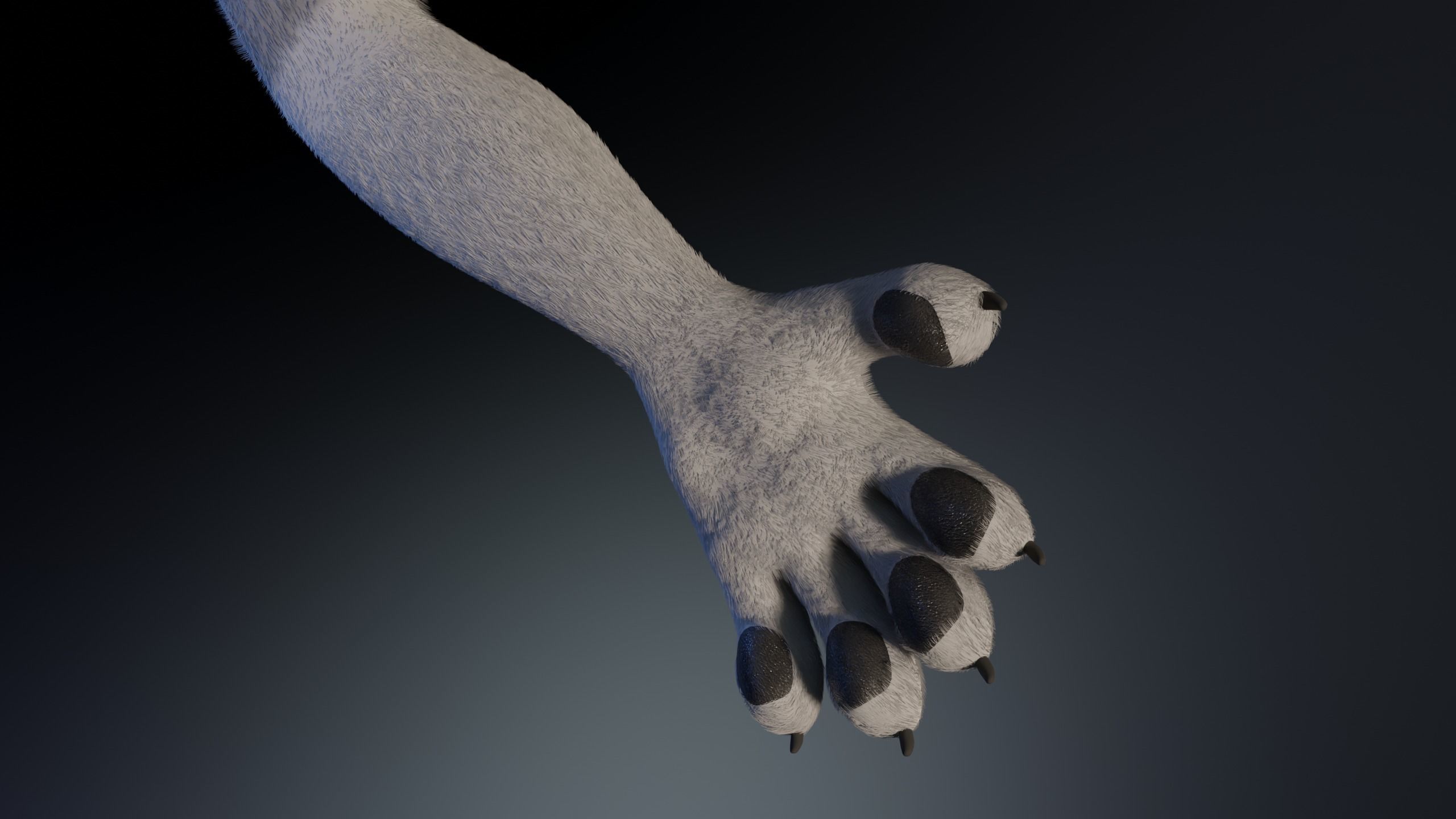 Eva Anthro wolf 3D model_13