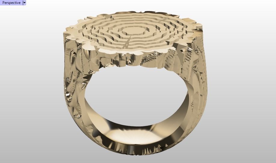 tree trunk ring 3D print model_13