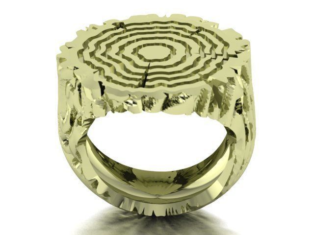 tree trunk ring 3D print model_6