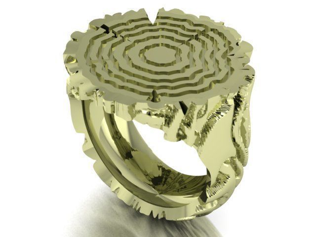 tree trunk ring 3D print model_4