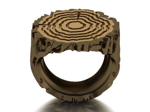 tree trunk ring 3D print model_18