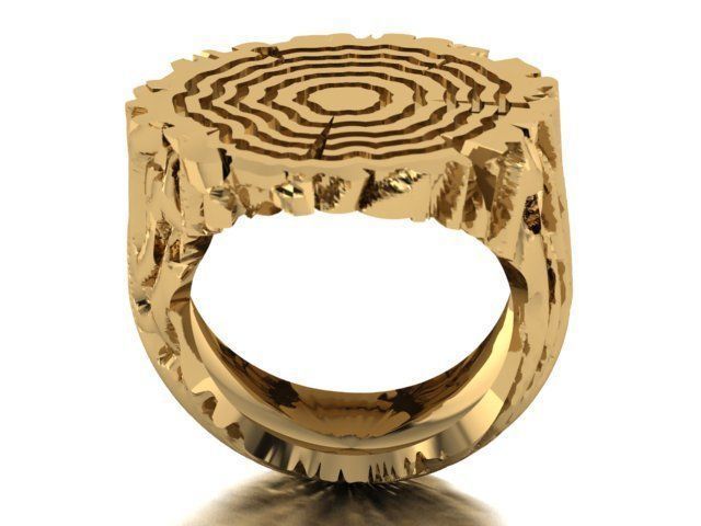 tree trunk ring 3D print model_8