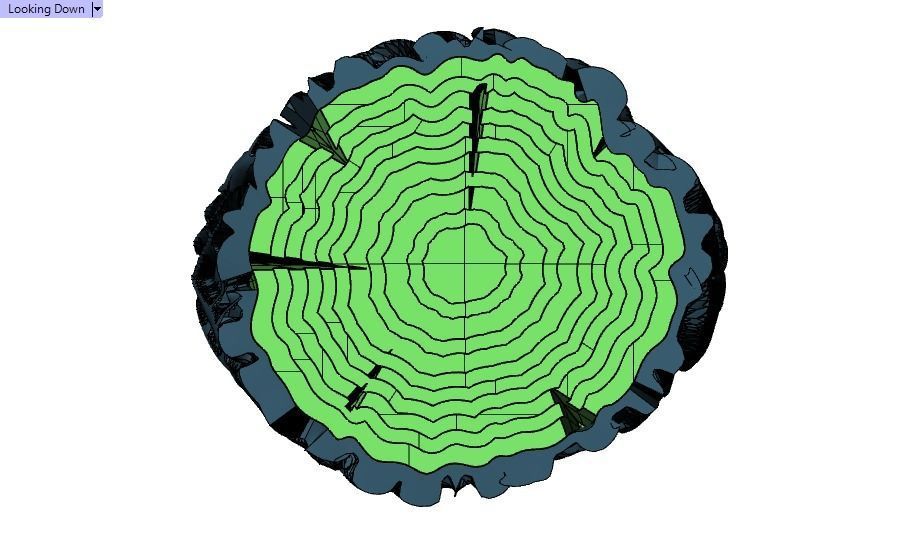 tree trunk ring 3D print model_17