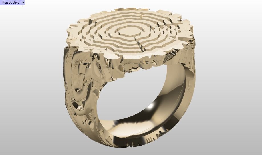 tree trunk ring 3D print model_12