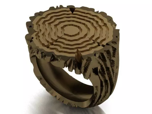 tree trunk ring 3D print model_0