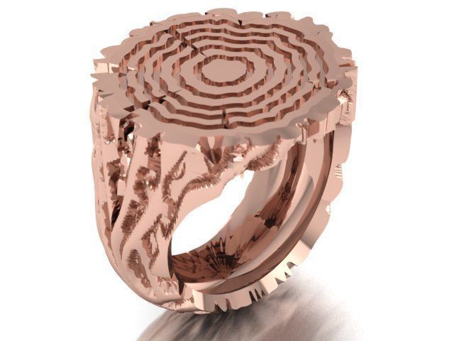 tree trunk ring 3D print model_10