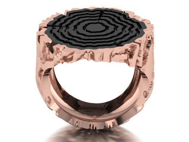 tree trunk ring 3D print model_3