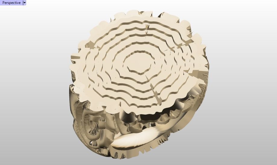 tree trunk ring 3D print model_19