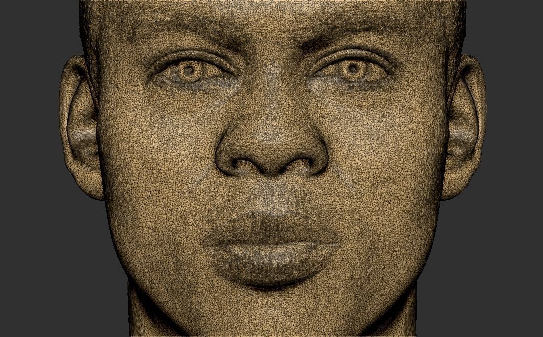 Chris Rock bust for 3D printing 3D print model_28