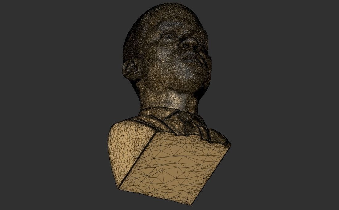Chris Rock bust for 3D printing 3D print model_29