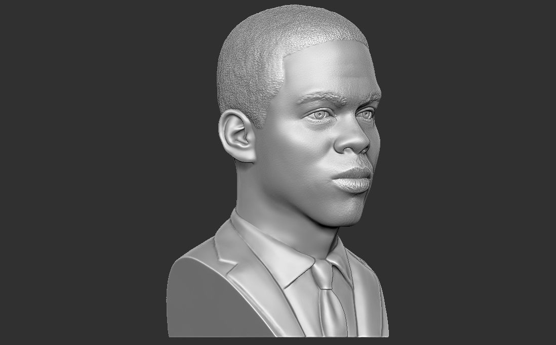 Chris Rock bust for 3D printing 3D print model_9