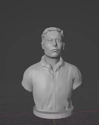 Elon Musk 3D print model