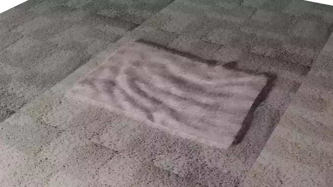 Carpet rug