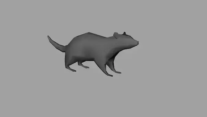 Low Poly Rat model cat