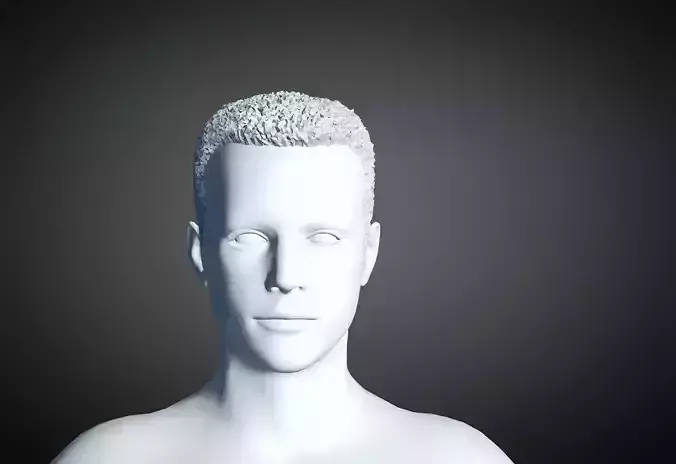 3D Hair style for Man 21 3D model