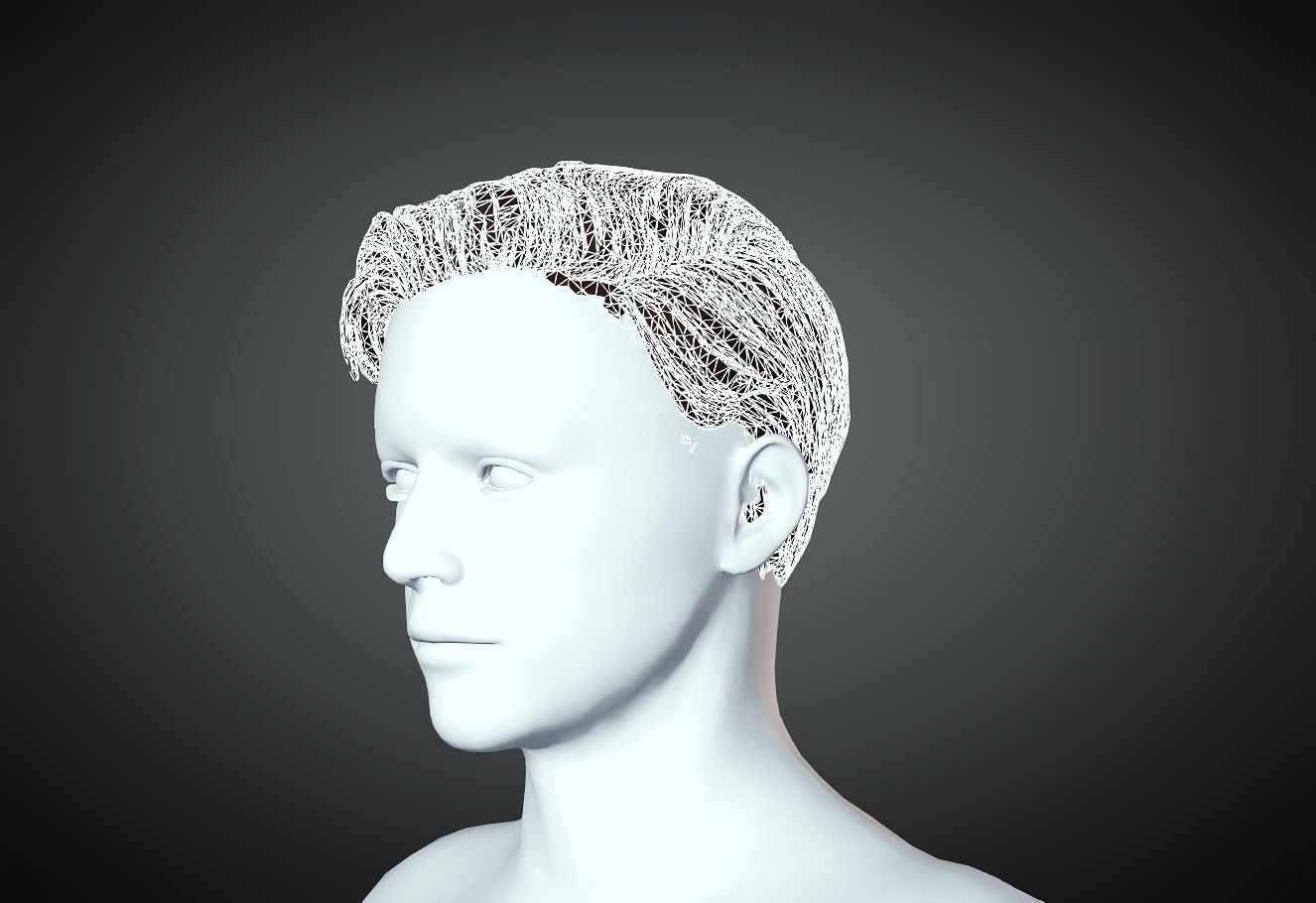 3D Hair style for Man 22 3D model 3D print model_2