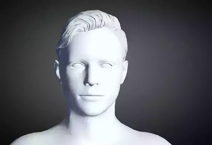 3D Hair style for Man 22 3D model